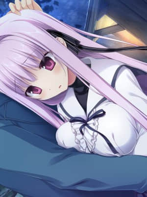 [feng] 夢と色でできている_CGB12_a