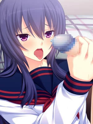 [WitchFlame] 妹とヤリたいことのすべて 「ごくん……ねぇ、なんでもするから、これ、もっとちょうだい、お兄ちゃん」_cgA-25b04