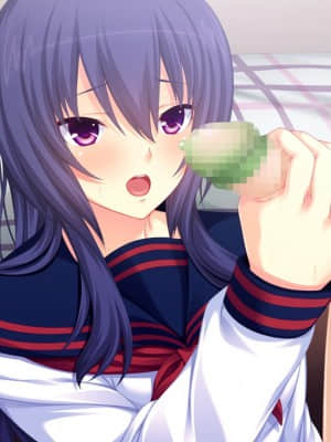 [WitchFlame] 妹とヤリたいことのすべて 「ごくん……ねぇ、なんでもするから、これ、もっとちょうだい、お兄ちゃん」_cgA-25e01