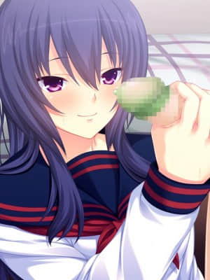 [WitchFlame] 妹とヤリたいことのすべて 「ごくん……ねぇ、なんでもするから、これ、もっとちょうだい、お兄ちゃん」_cgA-25e03