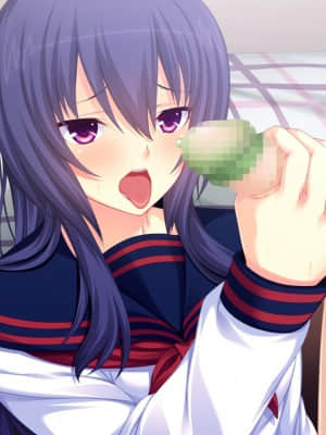 [WitchFlame] 妹とヤリたいことのすべて 「ごくん……ねぇ、なんでもするから、これ、もっとちょうだい、お兄ちゃん」_cgA-25e04