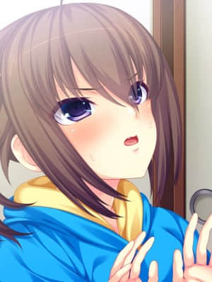 [WitchFlame] 妹とヤリたいことのすべて 「ごくん……ねぇ、なんでもするから、これ、もっとちょうだい、お兄ちゃん」_cgB-03a01