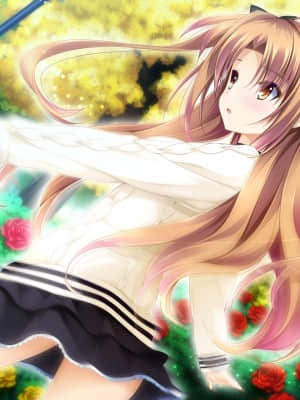 乙女が彩る恋のエッセンス_songxs_EVCO_04_L+PNAP+011_EVCO_04_L+PNAP+003