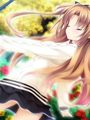 乙女が彩る恋のエッセンス_songxs_EVCO_04_L+PNAP+011_EVCO_04_L+PNAP+007