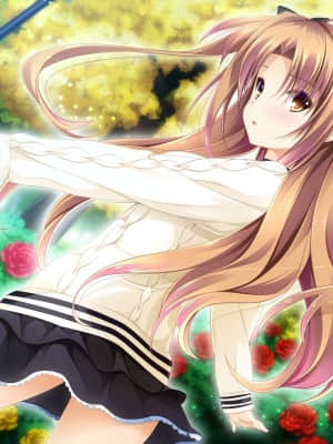 乙女が彩る恋のエッセンス_songxs_EVCO_04_L+PNAP+012_EVCO_04_L+PNAP+001