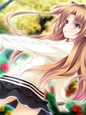 乙女が彩る恋のエッセンス_songxs_EVCO_04_L+PNAP+012_EVCO_04_L+PNAP+003