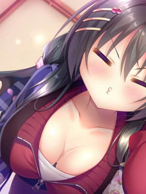 [カクテル・ソフト] きゃんきゃんバニープルミエール3_1041