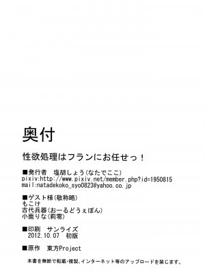 [脸肿汉化组] (紅楼夢8) [なたでここ (塩胡しょう, 古代兵器, 小鹿りな)] 性欲処理はフランにお任せっ! (東方Project)_IMG_0020