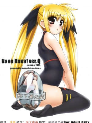 [靴下汉化组] (C81) [こっそり隠れ処 (あいらんど)] Nano Hana! ver.Q -scene of FATE- (魔法少女リリカルなのは)