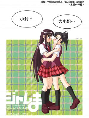 [輝夜漢化] [フルーツジャム (水鏡想)] 裏魔法先生ジャムま! 13 (魔法先生ネギま!) [DL版]_0032