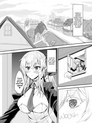 [Sorono] I Love You So, Master! -I Wanna Get Jumped by my Elf Maid-_02