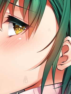 (同人CG集) [銀の星亭 (田宮秋人)] 団地住まいの巨乳母娘が全力で完堕ちって来る件_205_200