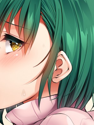 (同人CG集) [銀の星亭 (田宮秋人)] 団地住まいの巨乳母娘が全力で完堕ちって来る件_216_211