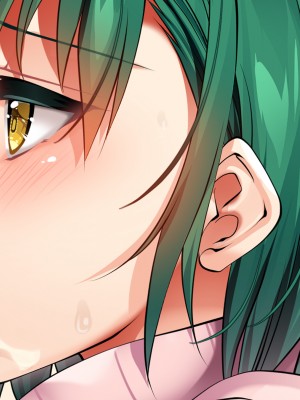 (同人CG集) [銀の星亭 (田宮秋人)] 団地住まいの巨乳母娘が全力で完堕ちって来る件_217_212