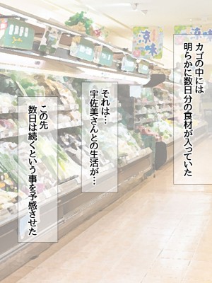 (同人CG集) [あまがみ堂 (会田孝信)] 家出娘NTR 宇佐美さんが初めての膣内イキに震えるお話_252