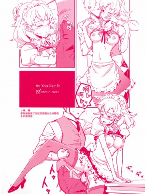 [靴下汉化组] (C82) [ビタミンごはん (はせがわけいた)] メイド雇ったら咲夜さんだった。 (東方Project)_28