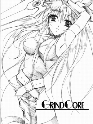 (リリカルマジカル3) [銀の星亭 (田宮秋人)] GrindCore (魔法少女リリカルなのは)_img002s