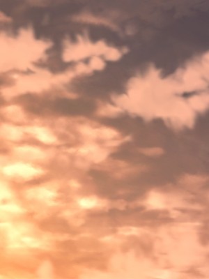 [RE：creation] コイヤスミ 〜彼女の肌に解ける粉雪〜_graphics.ypf_000795