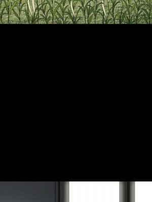 完美人偶 29-30話_30_028