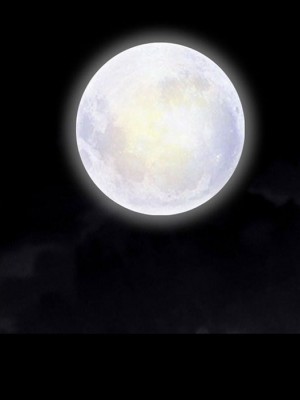 墮落的人生 47-48話_47_084
