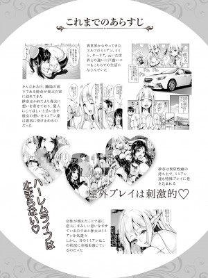 [弥美津峠 (鳳まひろ)] スケベエルフ姉妹、婚活に来る ～ハーレム夏祭り～[DL版] [Irodori Comics]_004