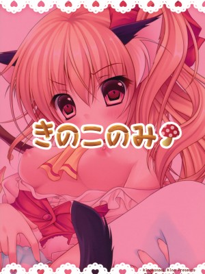 [萌舞の裏組漢化] (C79) [きのこのみ (kino, konomi)] フランちゃんねこみみモード (東方Project)_020