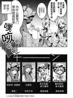 [薬味さらい (ゾウノセ)] レインボーマカン (東方Project) [白杨汉化组]_16