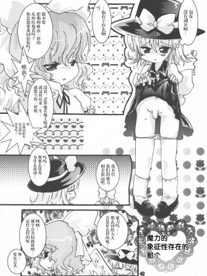 [转尾巴猫汉化] (C80) [すとろべりー (いちご)] ふたろりっ娘 (東方Project)_39