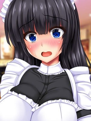 (同人CG集) [鮫野ソフトクリーム] 本番禁止でも強行孕ませ 政府公認チンポ鍛えるカードを使って受精孕ませ編_293_cg067