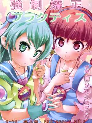 (C97) [CLUTCH SHOT KING (滑空)] 強制矯正プラクティス (スター☆トゥインクルプリキュア) [转尾巴猫汉化]