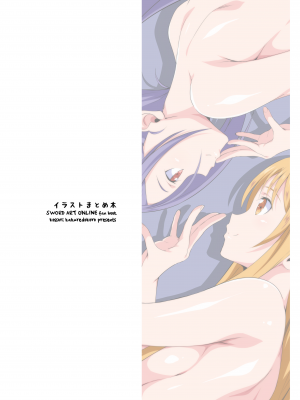 [こっそり隠れ処 (あいらんど)] イラストまとめ本 (ソードアート・オンライン)_19
