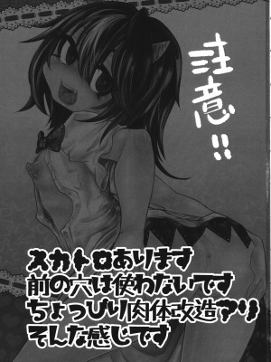 (C85) [ねじやのひと (丹羽ユカリ)] きらわれアクメせいじゃちゃん | 喜欢恶作剧的正邪酱 (東方Project) [中国翻訳]_02