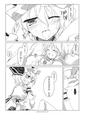 [绯色汉化组] (例大祭6) [FRAC (みつき)] レミニセンス (東方Project)_21