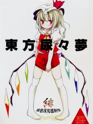 [緋色汉化組] (C74) [嘘つき屋 (大嘘)] 東方尿々夢 (東方Project)