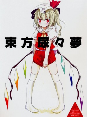 [緋色汉化組] (C74) [嘘つき屋 (大嘘)] 東方尿々夢 (東方Project)_01