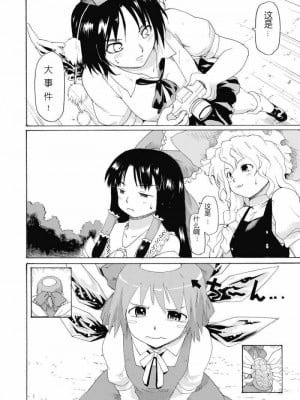 [JJ汉化组] (C74) [PARANOIA CAT (藤原俊一)] 東方浮世絵巻 射命丸文 (東方Project)_05