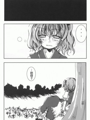 [绯色汉化组] (例大祭5) [きつねとぶどう (くろな)] 天恥我人 (東方Project)_19