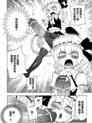 [沒有漢化] (C81) [龜魚派 (阿鼻龜仙人)] 東方辱幼月 (東方Project)_07
