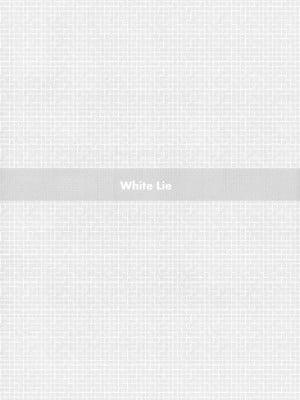 (C77) [ホムンクルス] White Lie (新世紀エヴァンゲリオン) [Genesis漢化]_wl_04
