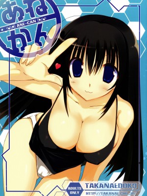 [萌动汉化组] (C78) [高苗床 (高苗京鈴)] あねかん_01