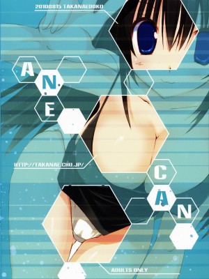 [萌动汉化组] (C78) [高苗床 (高苗京鈴)] あねかん_30