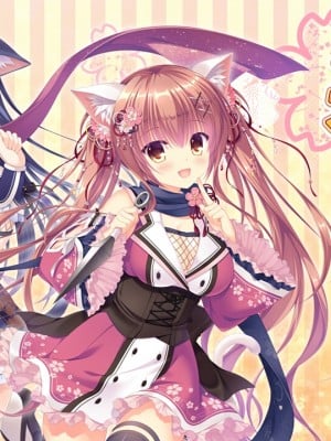 neko-nin vol01 (無修正)