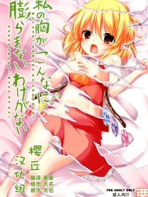 [樱丘汉化组] [要 (椎名悠輝)] 私の胸がこんなに膨らまないわけがない (東方Project) [DL版]