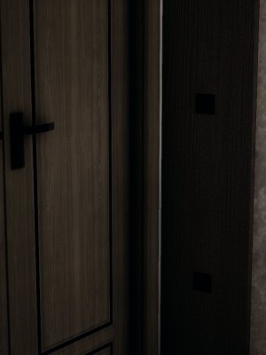 [听话的阿伟] 血玫瑰之我的杀手美母_749