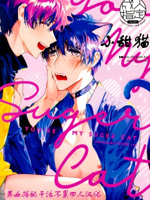 (BLOODY ZONE 14) [ｚｍ (こだか創)] シュガーキャット (血界戦線) [男女搭配干活不累四人汉化]