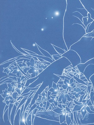 [すももの木 (すもももも)] 雨あがり虹の空 (ハウルの動く城) [莉赛特汉化组]_39