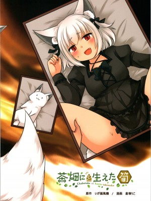 (C99) [茶畑に生えた筍 (倉塚りこ、いが扇風機)] 一般兵士アキラが四天王タマモを使い魔にできたワケ_43