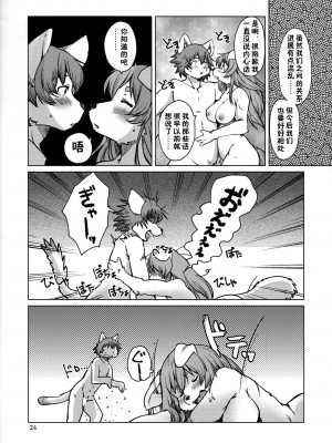 (C97) [のら屋 (瀬戸内くらげ)] 酔いどれろまんちっく [中国翻訳]_23